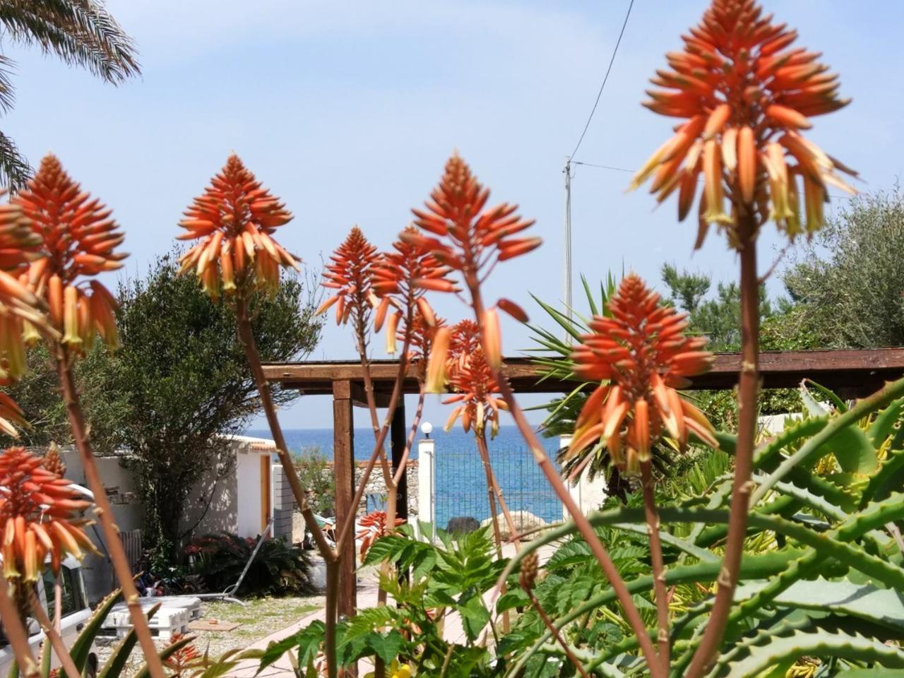 La Casa A Mare B&B Messina Kültér fotó